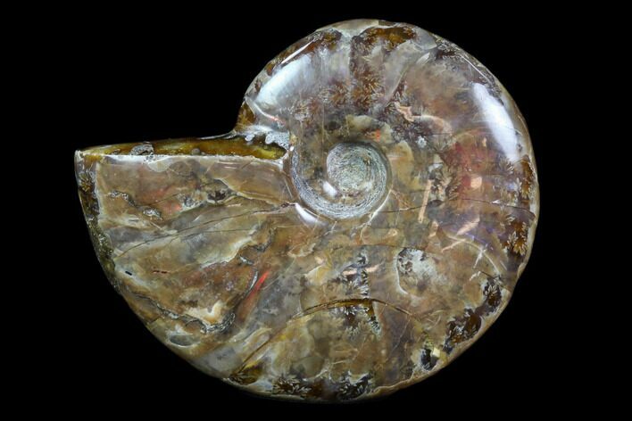 Iridescent, Red Flash Ammonite - Madagascar #82413